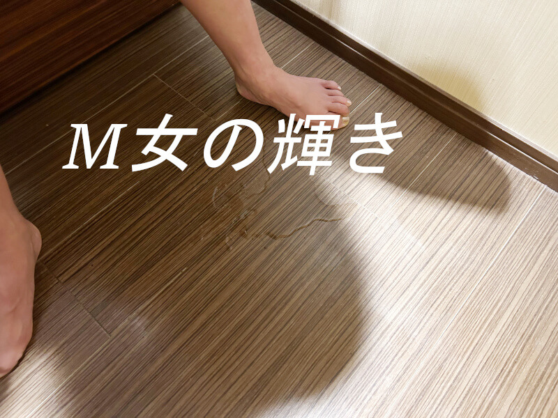 おもちゃで気持ち良くなりお漏らししてしまった様子