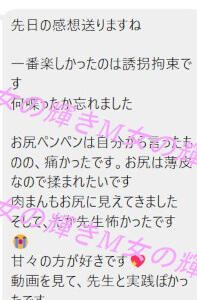 なつきさんから届いた感想のLINE(一番楽しかったのは誘拐拘束)