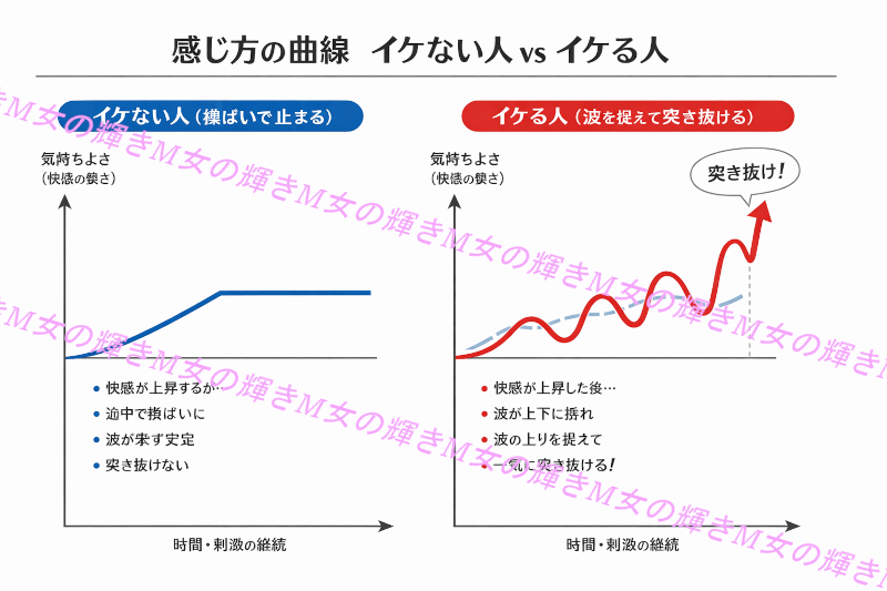 イクための知識 波のとらえ方グラフ