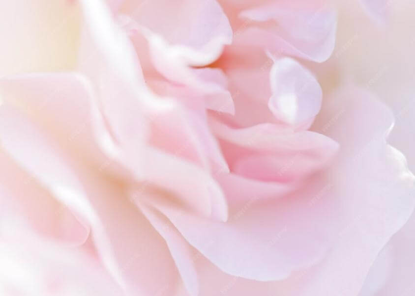 女性用風俗体験談をまとめて紹介する安心できるイメージ画像