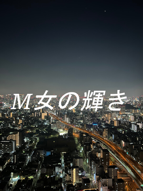 女性用風俗で遠方から宿泊で来たホテルの夜景イメージ